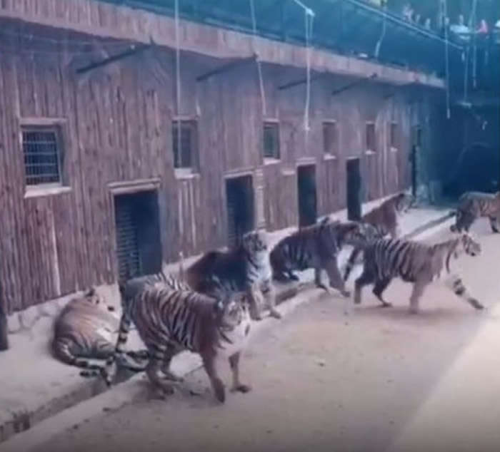 ����ʡ������Ұ������԰���ϻ��Է���Ŀ��ʹ�� ԰��������̬��ȡ��