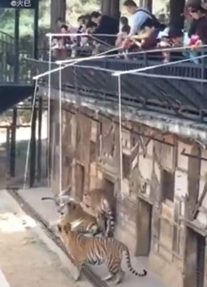 ����ʡ������Ұ������԰���ϻ��Է���Ŀ��ʹ�� ԰��������̬��ȡ��