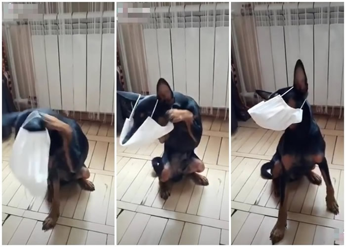 �¹ڷ��ף����������������˴����� ��æ�Լ����Ͽ���