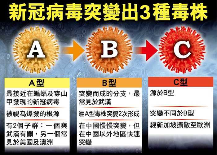 新冠病毒基因系谱研究报告显示病毒在疫情初期于各地传播时突变成3种毒株