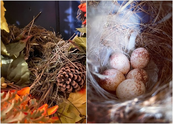 ����·��˹�����ݻ���Ů��ʿ���㲻����1���� ���ϻ���������