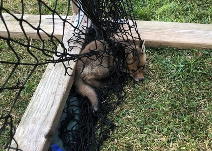 ������������С���괳����� ��鷿�Ӻ�Ժ������������