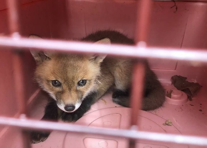 ������������С���괳����� ��鷿�Ӻ�Ժ������������