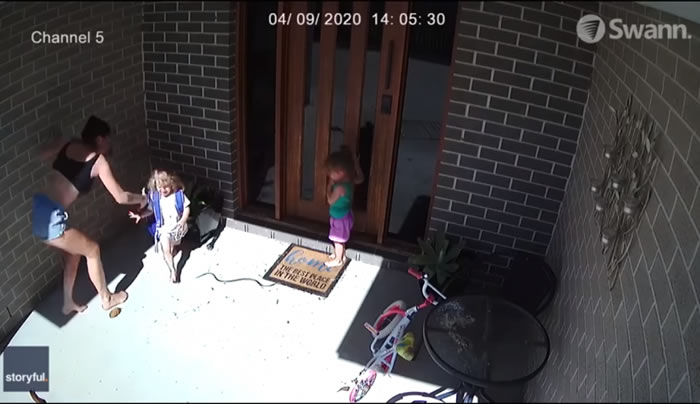 澳洲博伊尼岛妈妈带着2个女儿从家门口走出去 剧毒拟眼镜蛇突然从墙边窜出