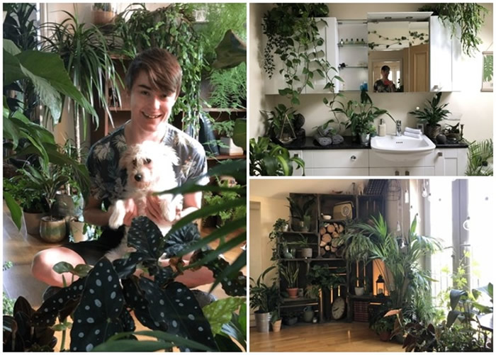 Ӣ����ɭ���к���Joe Bagley����1400��ֲ��