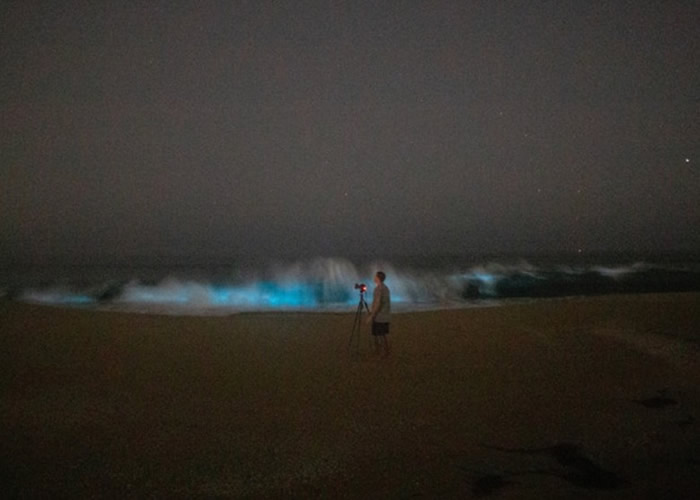 美国摄影师拍到加州纽波特港海滩出现藻类触发的生物发光现象——蓝光