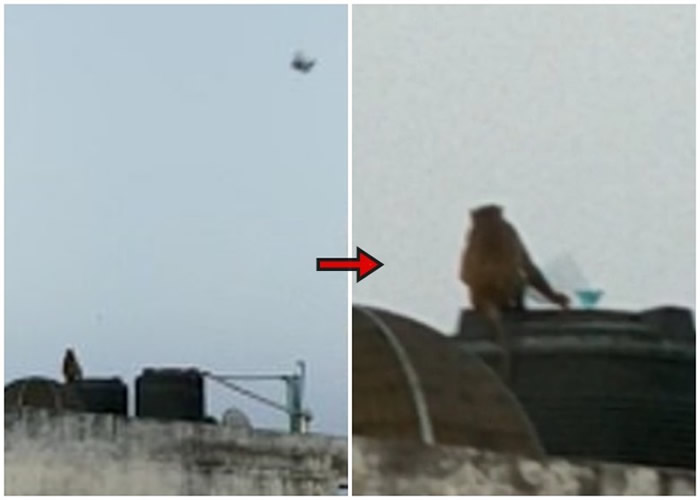 ӡ�������ĵ����������ݶ��ŷ����澰 ����Ц�Է�Ǽ��ٽ���