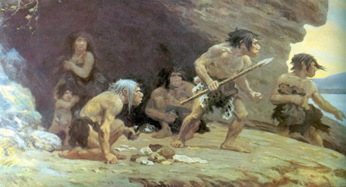 《自然-生态学与进化》:尼安德特人曾创造高效武器