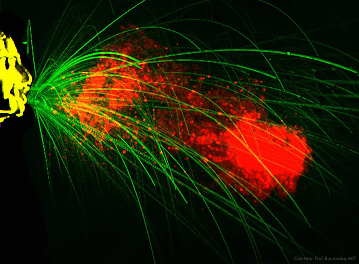 透过这张上色的高速摄影照片,可以发现喷嚏主要有两种飞沫,一种是阵雨状的大飞沫(绿色),喷射轨迹可达距离打喷嚏者(黄色)2公尺远之处,另一种则是悬浮在潮湿热气之中