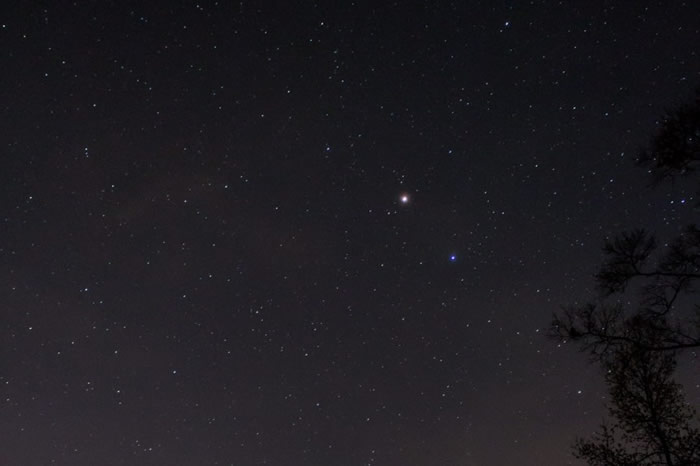 2020��5�·���������ſ�