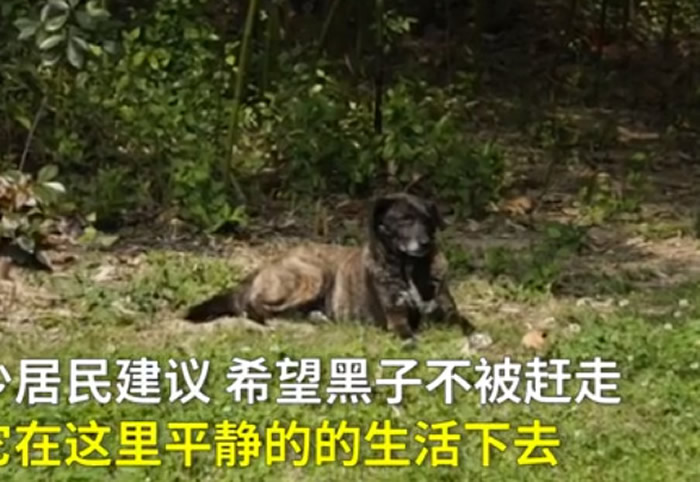 ���˻ع����¡����ӡ� ������Ȯ���3��