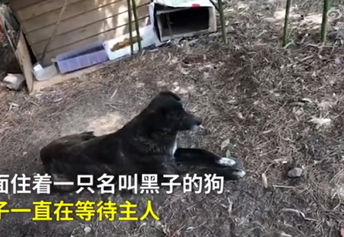 ���˻ع����¡����ӡ� ������Ȯ���3��