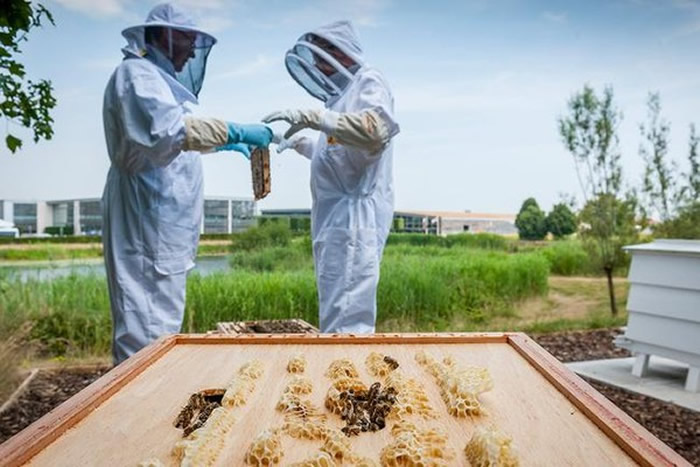 ֪ܲ˹˹ԭҲŮۡ ǮҲ򲻵