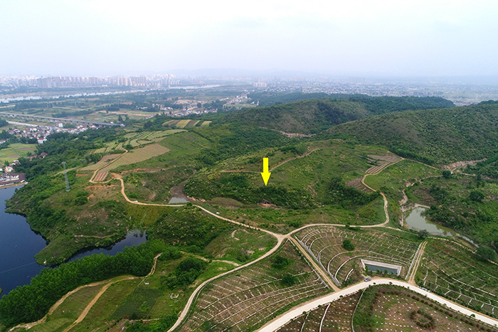 2019年度全国十大考古新发现:秦岭汉中南郑疥疙洞旧石器洞穴遗址发掘名列其中