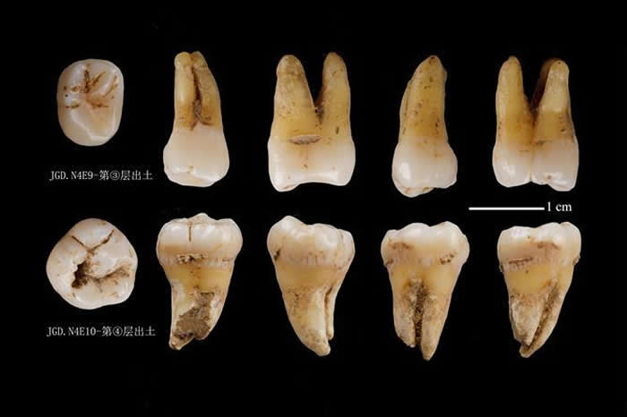 2019年度全国十大考古新发现:秦岭汉中南郑疥疙洞旧石器洞穴遗址发掘名列其中