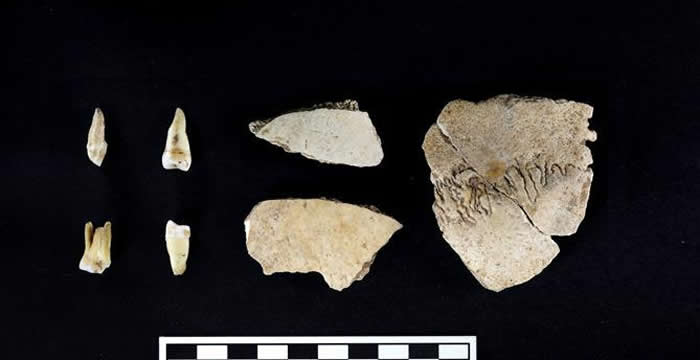 2019年度全国十大考古新发现:秦岭汉中南郑疥疙洞旧石器洞穴遗址发掘名列其中