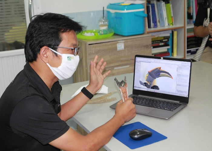 研究人员为Ccoc度身设计制造假鸟喙。