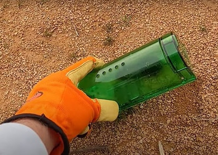 �������˵���������������