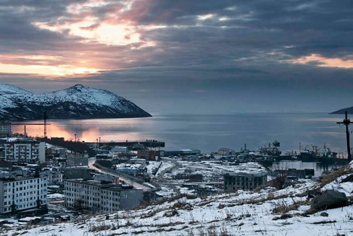 忠犬八公:俄罗斯㹴犬趴冰雪中痴等2个月 凝望大海盼主人早日回来