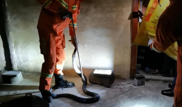 ����ʡ�ӽ�����լ����һ������2���߳����۾�����