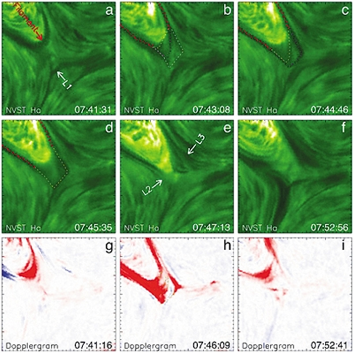 ��������ɫ��ͷ���ʹŻ�L1�������Գƴ��������γɴŻ���ͼƬ��Դ���й���ѧԺ��������̨