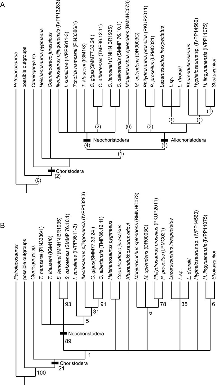 侏儒黑山龙（Heishanosaurus pygmaeus）的系统位置（董丽萍供图）