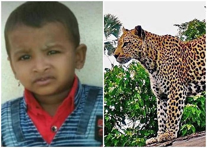 ӡ�Ȱ���޶�3����ͯ��Ԣ����˯��ʱ��Ұ�����߳�ʣ���