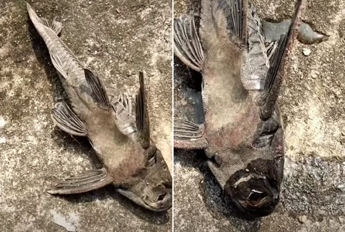 �������󡱣�������㡢�����㣩������������ɹһ�� ��һ��ˮ����