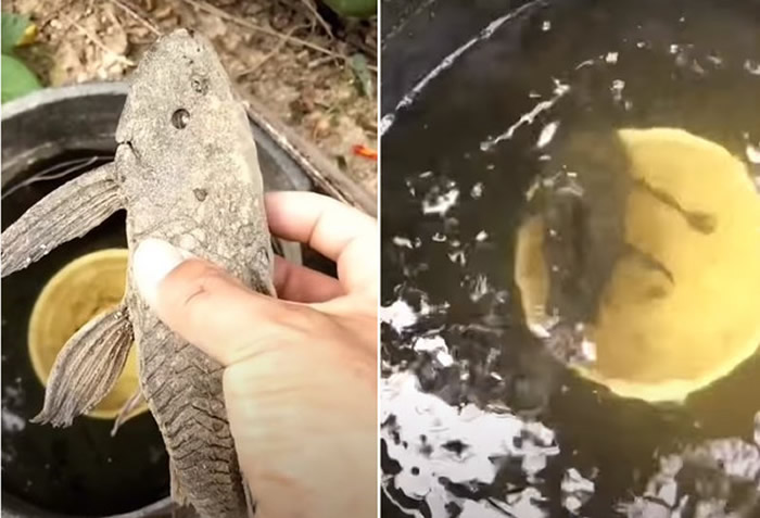 �������󡱣�������㡢�����㣩������������ɹһ�� ��һ��ˮ����