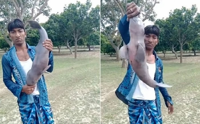 ӡ�ȱ�������ĺ�������30���׶ȳ����ڼӶ����� ȴ��������������Ű��