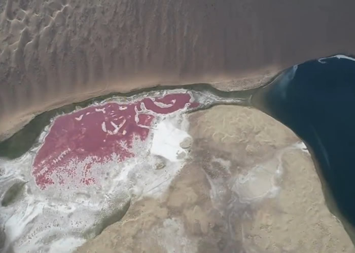 ɹŰĻι̽նӵ̽շ׼º˫ɫ