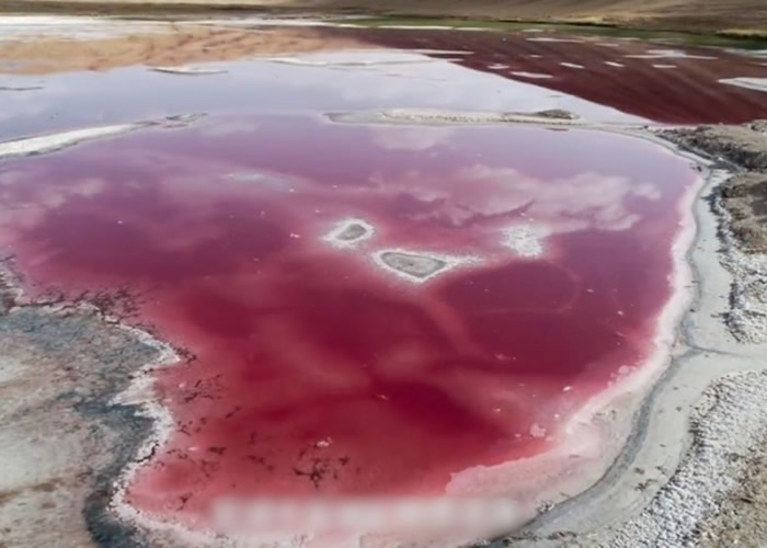 ɹŰĻι̽նӵ̽շ׼º˫ɫ