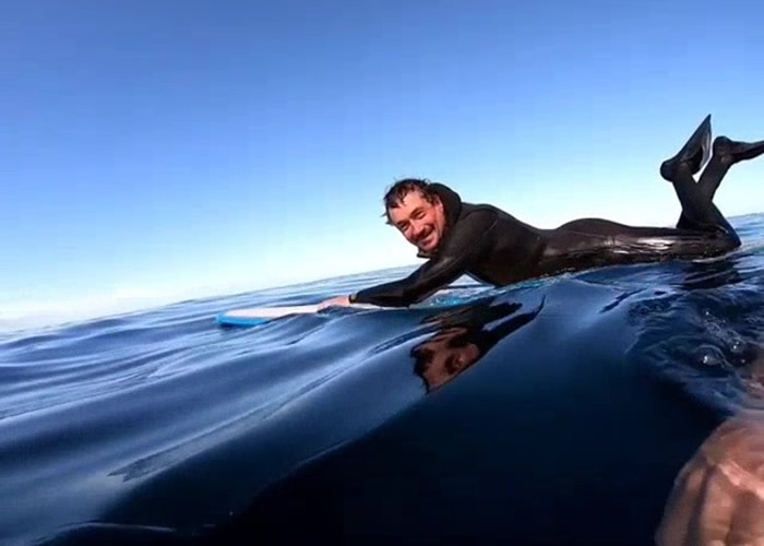 爱尔兰4名男子前往西海岸克莱尔县海岸滑浪 巧遇20条姥鲨迎面游至