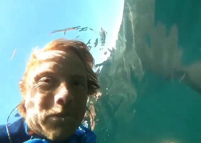 爱尔兰4名男子前往西海岸克莱尔县海岸滑浪 巧遇20条姥鲨迎面游至