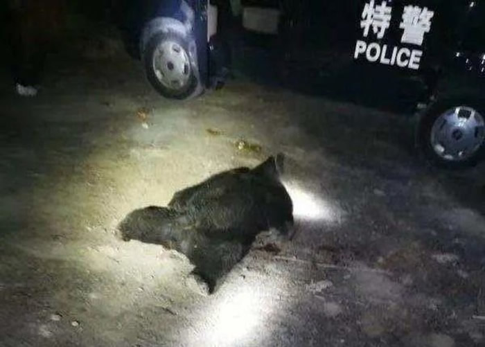 �Ĵ������������������ˮ�帾�˲������Ϯ������ 2������ɽ�Ѿ�Ҳ����