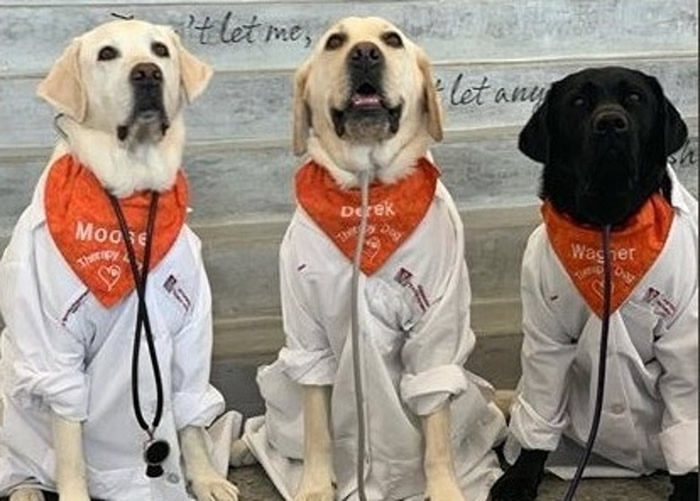 ��˹��������������ҽ����ִ�ڵ����ӡ�