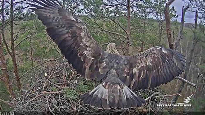 ����ά�ǽ�����ô��ȴ���Ĳ��ȳ��ɨ�����������