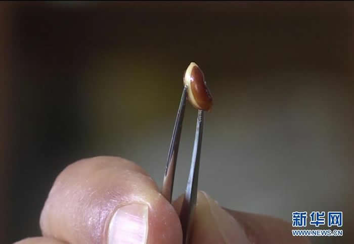 ���ϸ��蹱ɽ���Ҽ���Ȼ��������ɽ�η�����ϡ��Σֲ���ͩҰ����Ⱥ