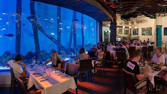 善待动物组织点名澳洲凯恩斯水族馆餐厅让客人在鱼类面前吃鱼