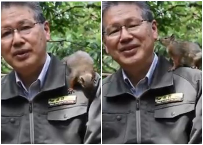 ձ֮ͷȻĻ԰԰л С絷