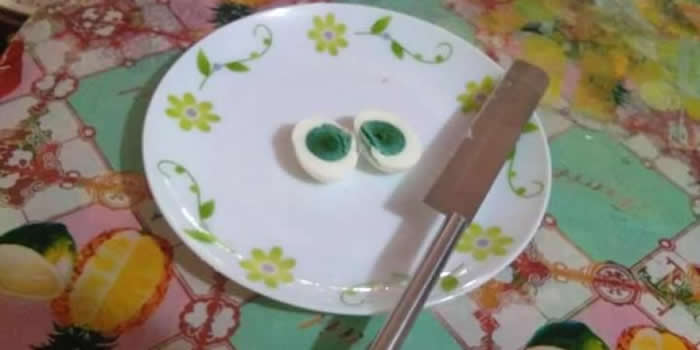 印度喀拉拉特邦鸡农发现饲养的母鸡竟产下绿色蛋黄的蛋 可正常孵化
