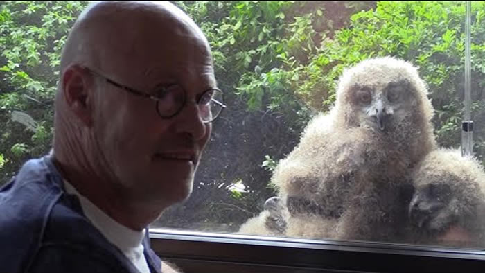 ����ʱ��������¶̨�������� �������������èͷӥ��ŷ�޵��^���ڻ�������������