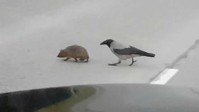 ��ѻ������⬹���·