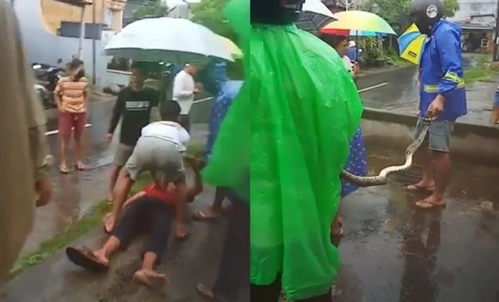 印尼峇厘岛16岁少年突然倒在路上民众以为新冠肺炎患者 原来大蟒蛇缠脖子