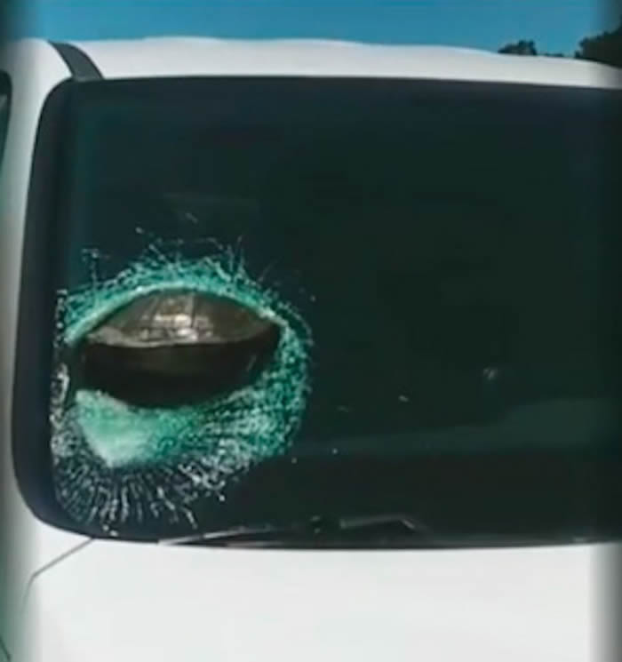 �����������ݸ��ٹ�·һֻ�ڹ괩͸������ʻ�е��������粣��