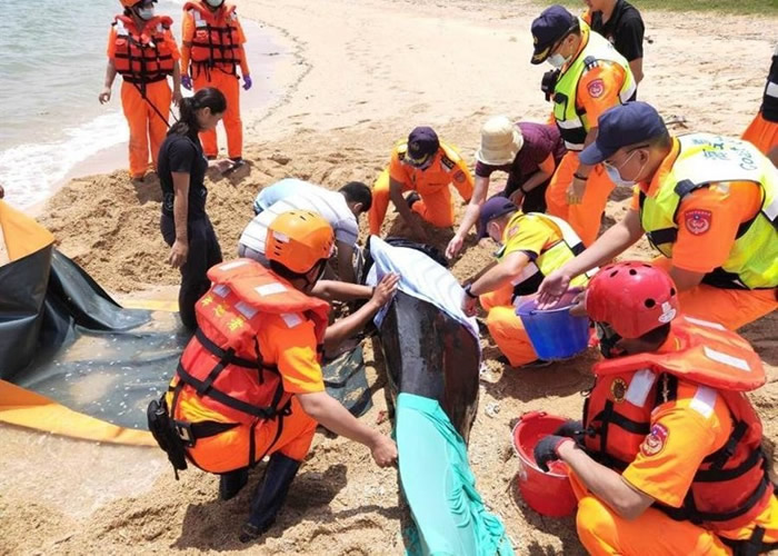 ��֫�캽����ǳ�����ɽɳ̲ ̨��Ѳ���ڹ���������