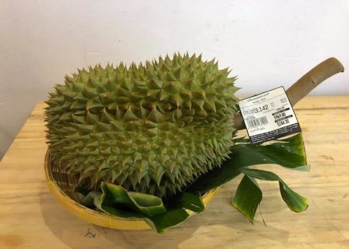 泰国稀有暖武里榴莲安排直销巿场 首批限量推出10个