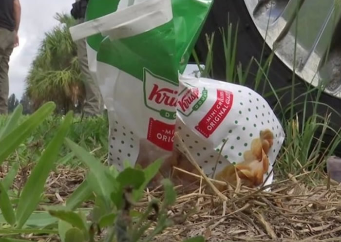 �������������Ұ������������ȱ���ͷ�ε� ׷��8Сʱ����һ����˦�ɹ��ղ�