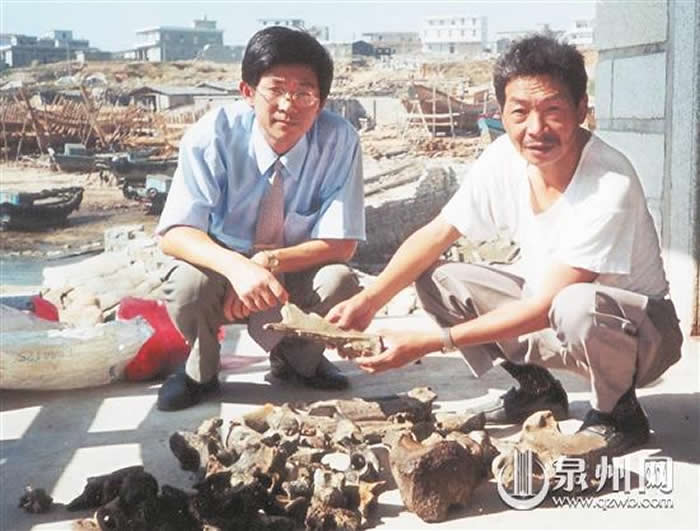 1999年,刘志成(右)和林少川向人们展示在石狮祥芝出水的部分化石(少川供图)