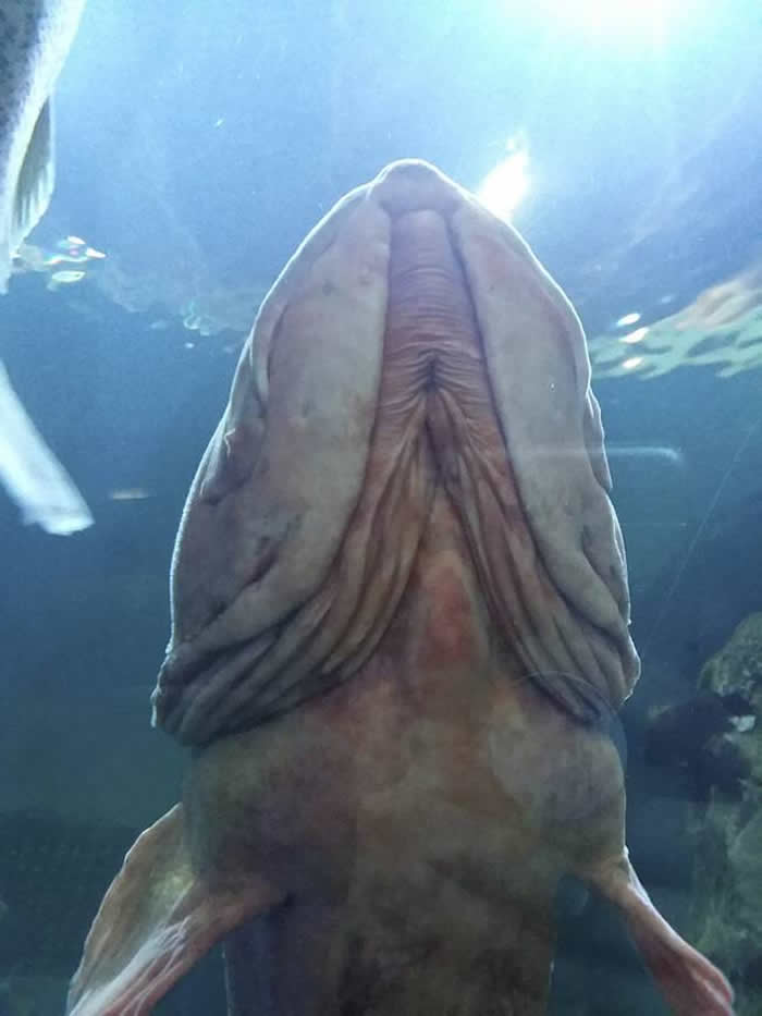 �����㣡����Ů�ӹ���ոԺ���ˮ��ݾ���Զ���������޴�������ֳ����